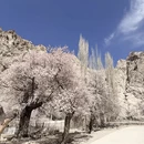 喀什地区旅游 缩略图 6