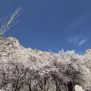 喀什地区旅游 缩略图 7