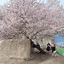 喀什地区旅游 缩略图 1