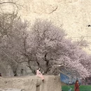 喀什地区旅游 缩略图 2