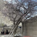 喀什地区旅游 缩略图 3