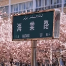 伊犁旅游 缩略图 6