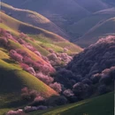 伊犁旅游 缩略图 8