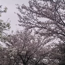 大连旅游 缩略图 4