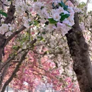 北京旅游 缩略图 6