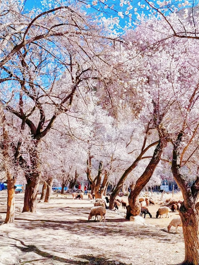 伊犁旅游