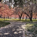 北京旅游 缩略图 3
