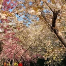 北京旅游 缩略图 7