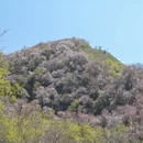 伊犁旅游 缩略图 12
