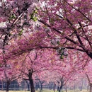 北京旅游 缩略图 1