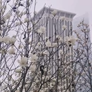 大连旅游 缩略图 5
