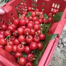 宁波旅游 缩略图 3