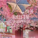 昆明旅游 缩略图 1