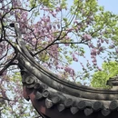 苏州旅游 缩略图 19