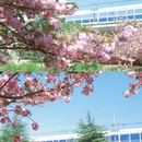 南京旅游 缩略图 7