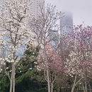 大连旅游 缩略图 6
