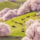 伊犁旅游 缩略图 4