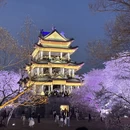 无锡旅游 缩略图 15