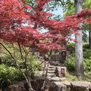 苏州旅游 缩略图 3