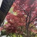 苏州旅游 缩略图 8
