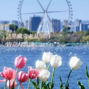 昆明旅游 缩略图 6