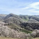 伊犁旅游 缩略图 5