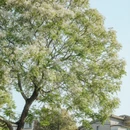 福州旅游 缩略图 5