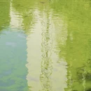 福州旅游 缩略图 12