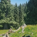 伊犁旅游 缩略图 14