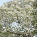 福州旅游 缩略图 15