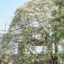福州旅游 缩略图 14