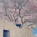 喀什地区旅游 缩略图 12