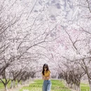 喀什地区旅游 缩略图 8