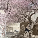 喀什地区旅游 缩略图 11