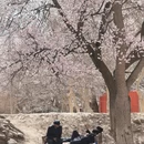喀什地区旅游 缩略图 14