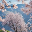 伊犁旅游 缩略图 4