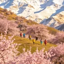 伊犁旅游 缩略图 1