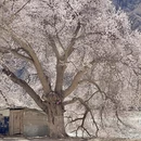 喀什地区旅游 缩略图 17