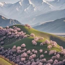 伊犁旅游 缩略图 3