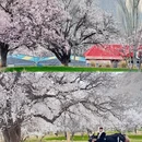 喀什地区旅游 缩略图 18