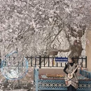 喀什地区旅游 缩略图 16