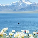 伊犁旅游 缩略图 3