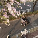 漳州旅游 缩略图 2