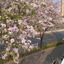 漳州旅游 缩略图 5