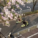 漳州旅游 缩略图 4