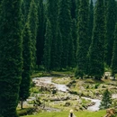 伊犁旅游 缩略图 2
