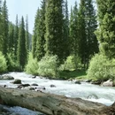 伊犁旅游 缩略图 8