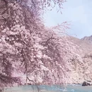 喀什地区旅游 缩略图 2