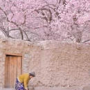 喀什地区旅游 缩略图 2