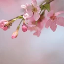 漳州旅游 缩略图 4